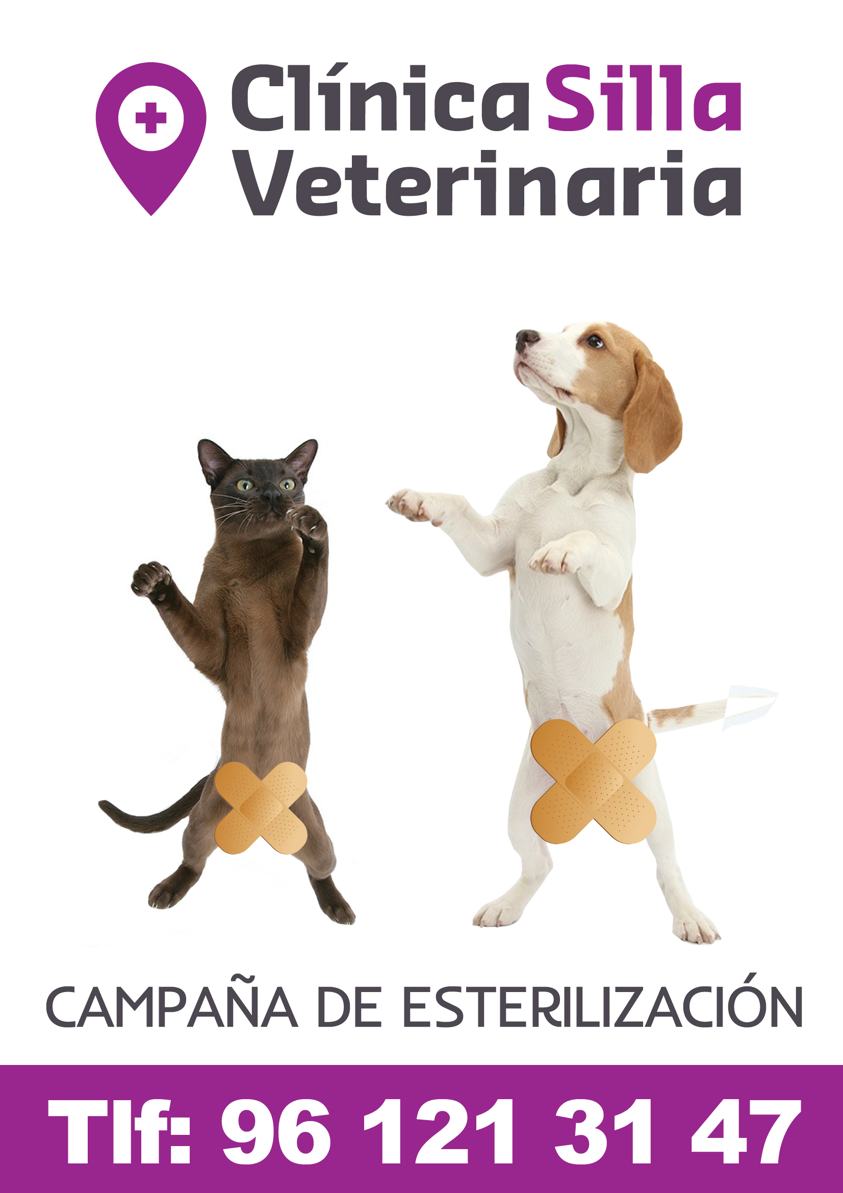 CAMPAÑA ESTERILIZACIÓN