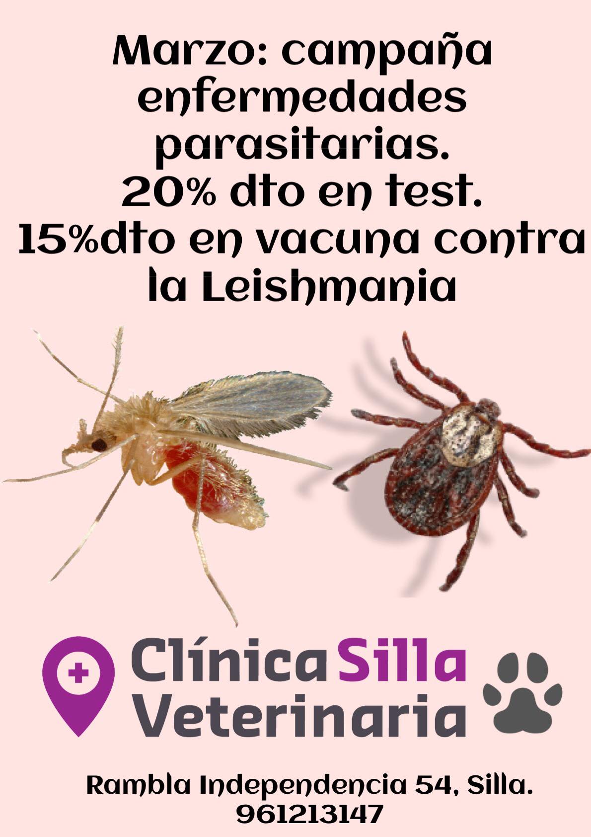 campaña enfermedades parasitarias