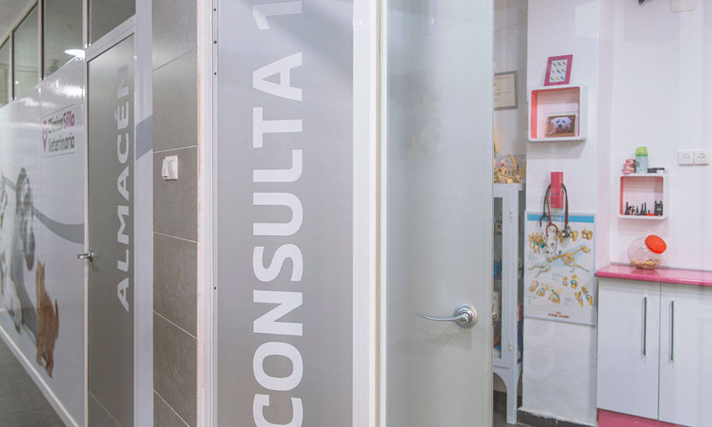 Imagen consulta 1