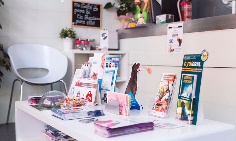Imagen sala de espera canina - recepción