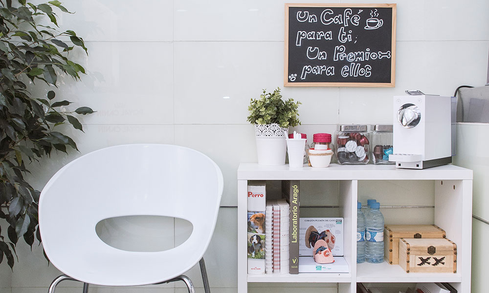 Imagen sala de espera canina - recepción
