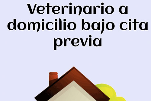 Imagen veterinario a domicilio