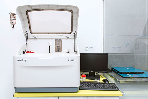 Imagen laboratorio