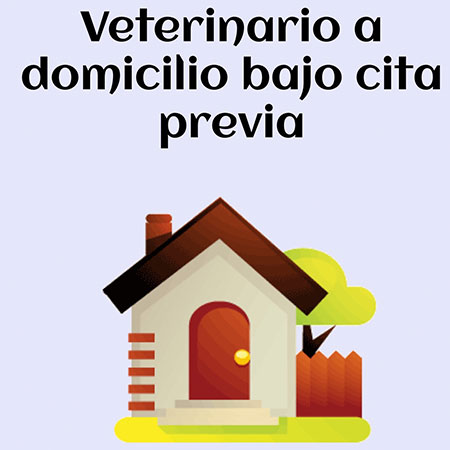 Imagen veterinario a domicilio